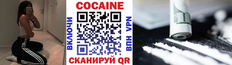 Cocaine Fish Scale  Купить закладки  Болгар 