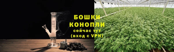 spice Лагань