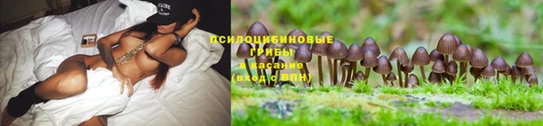 spice Лагань