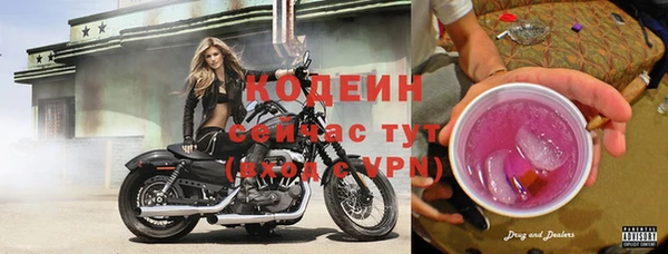 spice Лагань