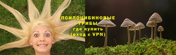 спайс Ладушкин